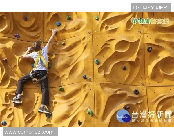 北京攀岩队个人能力解析与提升策略探讨