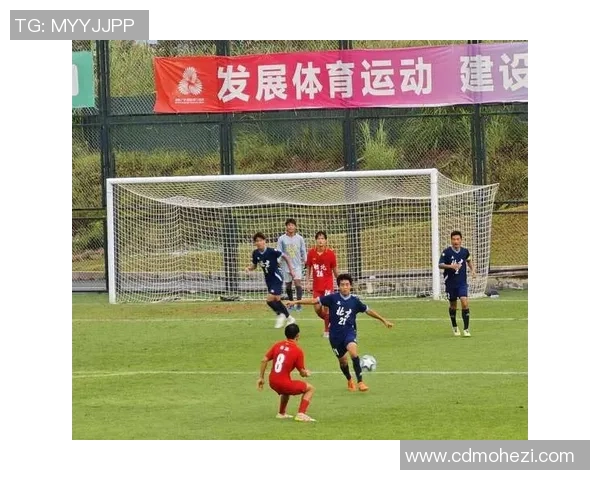 全运会回顾：北京排球队展现实力与团队精神的精彩表现