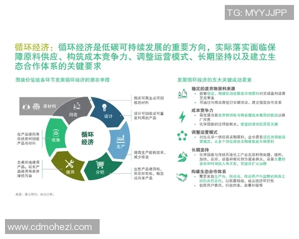和平精英评论：EDG战队在转型过程中所面临的挑战与机遇分析