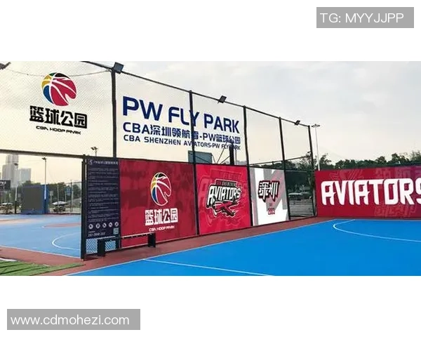 深圳羽毛球队的奋斗与荣耀：城市联赛中的崭新篇章与突破之路