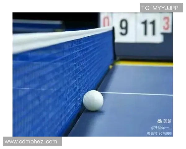 西安乒乓球队耐力对比深度解析与训练策略探讨 西安乒乓球队耐力对比深度解析与训练策略探讨