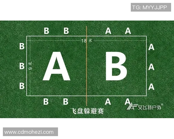 西安飞盘队与南京飞盘队赛后复盘分析团队配合与战术执行 西安飞盘队与南京飞盘队赛后复盘分析团队配合与战术执行
