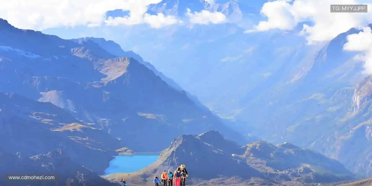👕 限量周边,穿上它,你就是赛场最靓的崽!